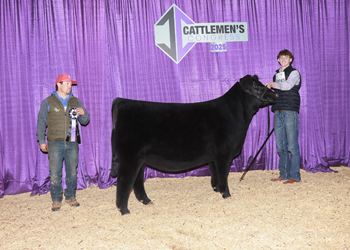 Senior Heifer Calf Champion-Division 2