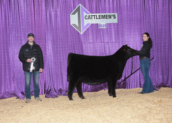 Reserve Junior Heifer Calf Champion-Division 1