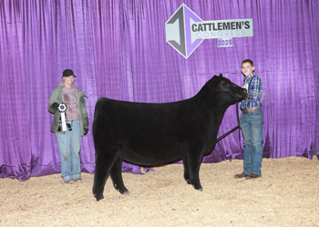 Reserve Junior Heifer Calf Champion-Division 3