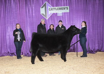 Summer Heifer Calf Champion