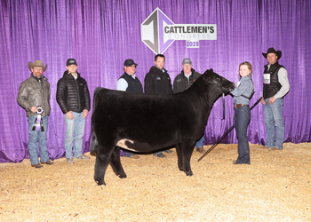 Junior Heifer Calf Champion-Division 3