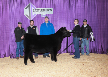 Reserve Summer Heifer Calf Champion