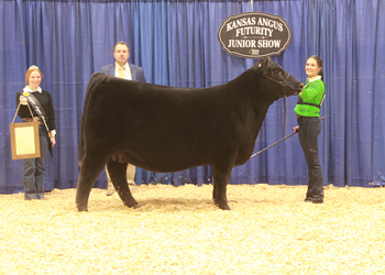 Grand Champion Bred-and-owned Female