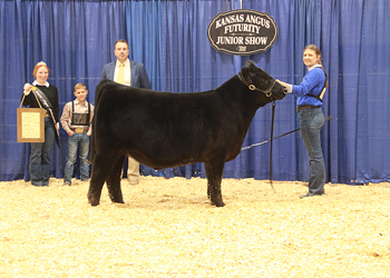 Reserve Grand Champion Steer