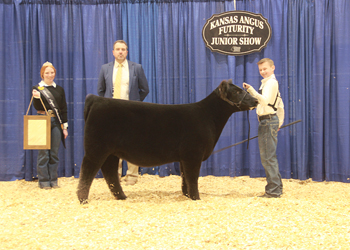 Reserve Grand Champion Bred-and-owned Female