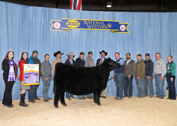 Grand Champion Female