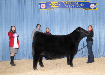 Reserve Intermediate Champion Heifer