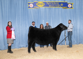 Reserve Junior Champion Heifer