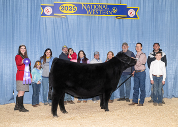 Intermediate Champion Heifer