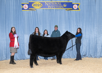 Reserve Senior Heifer Calf Champion