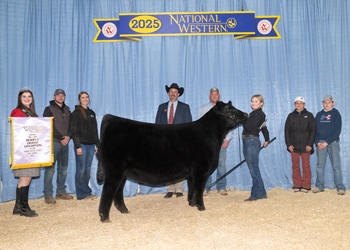 Reserve Grand Champion Female