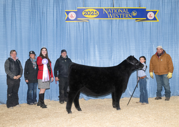 Reserve Junior Heifer Calf Champion-Division 1