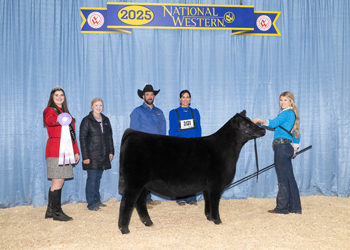 Reserve Summer Heifer Calf Champion