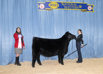 Reserve Junior Heifer Calf Champion-Division 2