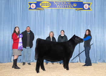 Summer Heifer Calf Champion