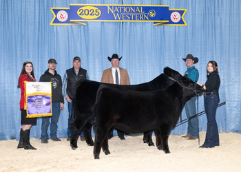 Grand Champion Cow-calf Pair