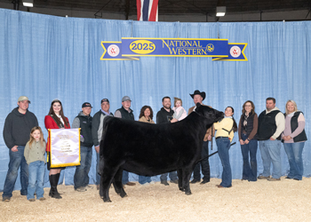 Reserve Grand Champion Female