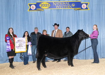 Reserve Grand Champion Bred-and-owned Female