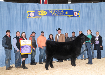 Grand Champion Female