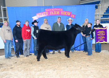 Grand Champion Bred-and-owned Female