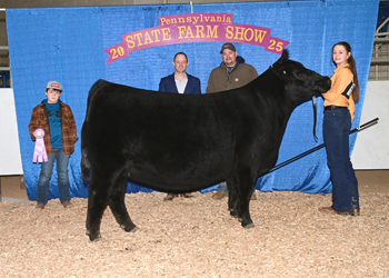 Reserve Grand Champion Female