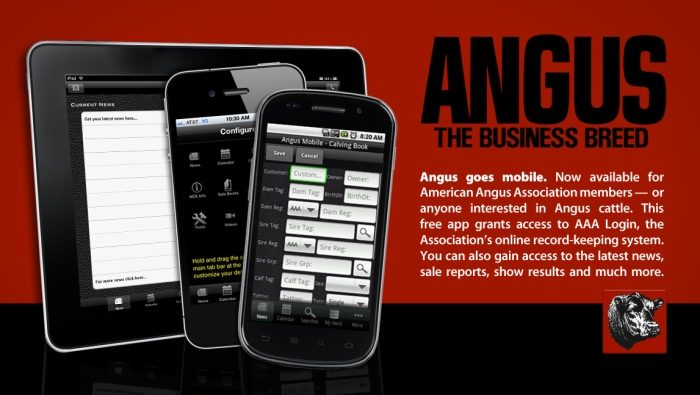 Angus Mobile Apps