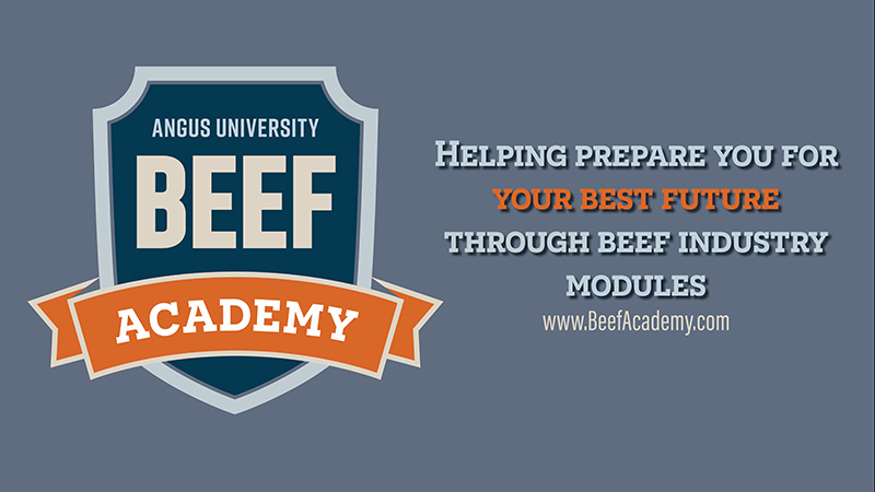 BEEF Academy platform launches for junior members